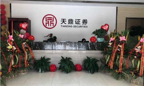 风雨同舟，共鉴未来 天鼎证券与投资者携手前行
